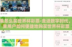 苹果怎么买世界杯彩票-走进数字时代，苹果用户如何便捷地购买世界杯彩票