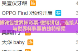 微博钱包世界杯彩票-微博钱包，连接人脉与世界杯彩票的独特桥梁