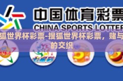 搜狐世界杯彩票-搜狐世界杯彩票，赌与乐的交织