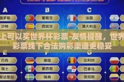 网上可以买世界杯彩票-友情提醒，世界杯彩票线下合法购彩渠道更稳妥