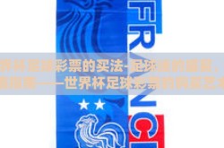 世界杯足球彩票的买法-足球迷的盛宴，全面指南——世界杯足球彩票的购买艺术