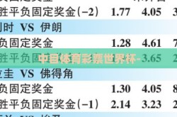 中目体育彩票世界杯-