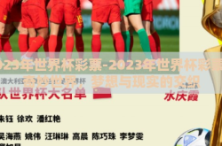 2023年世界杯彩票-2023年世界杯彩票的奇妙世界，梦想与现实的交织