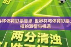 世界杯体育彩票意思-世界杯与体育彩票，碰撞的激情与机遇