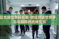 微信竞猜世界杯在哪-微信竞猜世界杯，娱乐与激情的流线交织