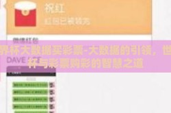 世界杯大数据买彩票-大数据的引领，世界杯与彩票购彩的智慧之道