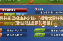 世界杯彩票投注多少钱-「揭秘世界杯彩票，理性投注金额的考量」