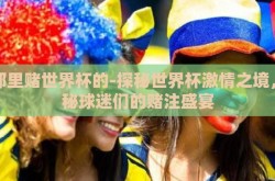 在那里赌世界杯的-探秘世界杯激情之境，揭秘球迷们的赌注盛宴
