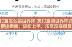 支付宝怎么买世界杯-支付宝购世界杯彩票便捷指南，轻松上手，乐享观赛盛宴