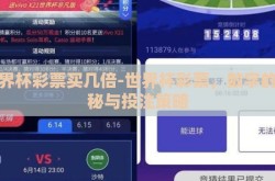 世界杯彩票买几倍-世界杯彩票，数字的奥秘与投注策略