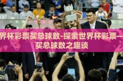 世界杯彩票买总球数-探索世界杯彩票——买总球数之趣谈