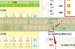世界杯彩票组选-乐动心潮，世界杯彩票组选策略全解析