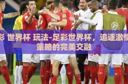 足彩 世界杯 玩法-足彩世界杯，追逐激情与策略的完美交融