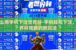 怎么用手机下注世界杯-手机轻松下注，世界杯观赛的新玩法