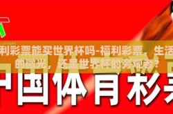 福利彩票能买世界杯吗-福利彩票，生活中的微光，还是世界杯的旁观者？