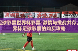 买足球彩票世界杯彩票-激情与挑战并存，世界杯足球彩票的购买攻略