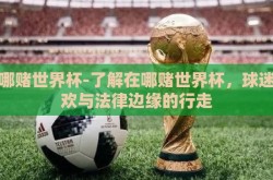 在哪赌世界杯-了解在哪赌世界杯，球迷狂欢与法律边缘的行走