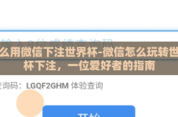 怎么用微信下注世界杯-微信怎么玩转世界杯下注，一位爱好者的指南