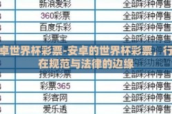 安卓世界杯彩票-安卓的世界杯彩票，行走在规范与法律的边缘
