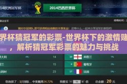 世界杯猜冠军的彩票-世界杯下的激情赌注，解析猜冠军彩票的魅力与挑战