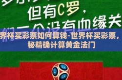 世界杯买彩票如何算钱-世界杯买彩票，揭秘精确计算黄金法门