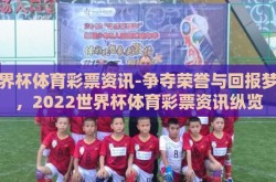 世界杯体育彩票资讯-争夺荣誉与回报梦想，2022世界杯体育彩票资讯纵览