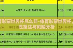 体育彩票世界杯怎么赔-体育彩票世界杯，理性投注与风险分析