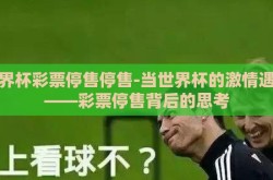 世界杯彩票停售停售-当世界杯的激情遇冷——彩票停售背后的思考