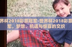 世界杯2018彩票冠军-世界杯2018彩票冠军，梦想、机遇与惊喜的交织