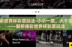 体彩世界杯彩票玩法-小小一票，大千世界——解析体彩世界杯彩票玩法
