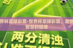 世界杯足球彩票-世界杯足球彩票，激情与智慧的碰撞