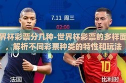 世界杯彩票分几种-世界杯彩票的多样面貌，解析不同彩票种类的特性和玩法