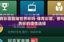 体育彩票能赌世界杯吗-体育彩票，参与世界杯的理性选择