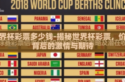 世界杯彩票多少钱-揭秘世界杯彩票，价格背后的激情与期待