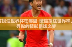 微信投注世界杯在哪里-微信投注世界杯，探寻你的精彩足球之梦