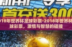2018年世界杯足球彩票-2018年世界杯足球彩票，激情与智慧的碰撞