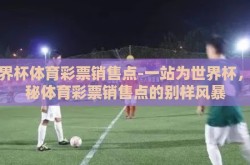 世界杯体育彩票销售点-一站为世界杯，探秘体育彩票销售点的别样风暴