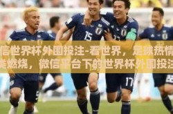 微信世界杯外围投注-看世界，足球热情的另类燃烧，微信平台下的世界杯外围投注探寻