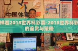 怎样看2018世界杯彩票-2018世界杯彩票的鉴赏与策略