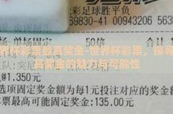 世界杯彩票最高奖金-世界杯彩票，探寻最高奖金的魅力与可能性