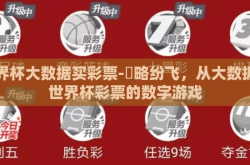 世界杯大数据买彩票-鏃略纷飞，从大数据看世界杯彩票的数字游戏