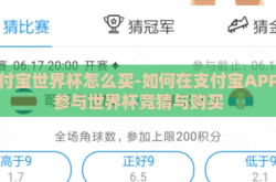 支付宝世界杯怎么买-如何在支付宝APP上参与世界杯竞猜与购买