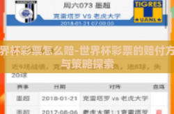 世界杯彩票怎么赔-世界杯彩票的赔付方式与策略探索
