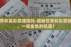 世界杯卖彩票赚钱吗-揭秘世界杯彩票销售，一场金色的机遇？