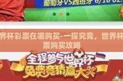 世界杯彩票在哪购买-一探究竟，世界杯彩票购买攻略