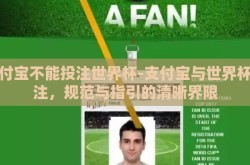 支付宝不能投注世界杯-支付宝与世界杯投注，规范与指引的清晰界限