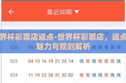 世界杯彩票店返点-世界杯彩票店，返点的魅力与规则解析