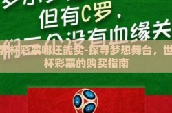 世界杯彩票哪还能买-探寻梦想舞台，世界杯彩票的购买指南