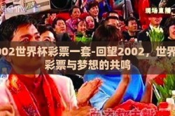 2002世界杯彩票一套-回望2002，世界杯彩票与梦想的共鸣