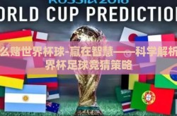 怎么赌世界杯球-赢在智慧——科学解析世界杯足球竞猜策略